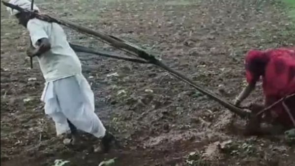 தோளில் கலப்பையை கட்டி இழுத்து.. மாடாய் மாறி உழுத 75 வயது விவசாயி.. வந்து விழுந்த ஜாக்பாட் பரிசு! செம