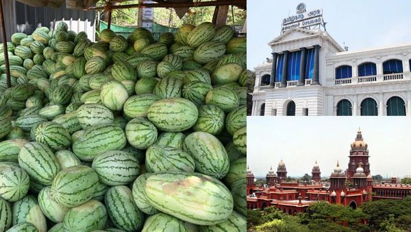 தர்பூசணி வியாபாரிகளுக்கு நஷ்டஈடு வழங்க வேண்டும் - தமிழக அரசுக்கு சென்னை உயர்நீதிமன்றம் உத்தரவு