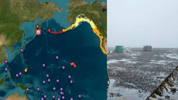 Tsunami: 3-4 மீட்டருக்கு எழுந்த சுனாமி பேரலைகள்.. நொறுக்கப்பட்ட துறைமுக நகரம்.. அலறி ஓடிய 2000 மக்கள்!