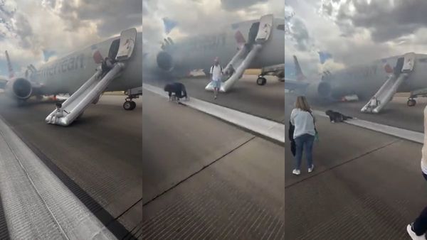 திடீரென தீப்பிடித்து எரிந்த விமானத்தின் டயர்.. உயிரை கையில் பிடித்து கொண்டு ஓடிய பயணிகள்! ஷாக்