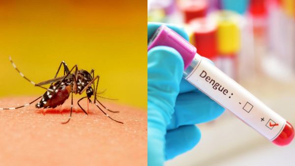 தமிழகத்தில் வேகமாக பரவும் டெங்கு.. தினமும் 50 பேர் பாதிப்பு.. மக்களே கவனமாக இருங்க! சுகாதாரத்துறை