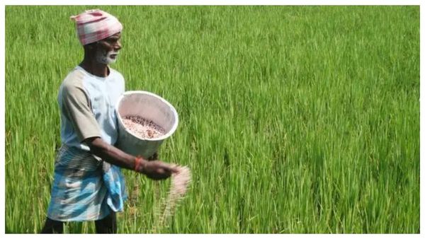 விவசாயிகளுக்கு சர்ப்ரைஸ்.. பயிர் கடனுக்கு பழைய நடைமுறையை பின்பற்றப்படும் - தமிழக அரசு அறிவிப்பு