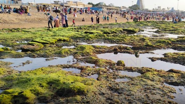 திருச்செந்தூரில் சுமார் 100 அடிக்கு உள்வாங்கிய கடல்.. ஆபத்தை உணராமல் செல்ஃபி எடுக்கும் பக்தர்கள்