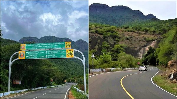 கொடைக்கானல் சுற்றுலா போக போறீங்களா.. காட்ரோடு தாண்டியதுமே கவனம்.. பட்டப்பகலிலேயே ஷாக்