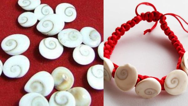 கோமதி சக்கரத்தை சிவப்பு துணியில் கட்டி.. வீட்டில் பணம் சேர உதவும் கோமதி சக்கரங்கள்.. இப்படி வையுங்க