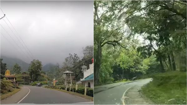 உடுமலை-மூணாறு சாலையில் சுற்றுலா போறீங்களா.. என்ன உருவம்.. வீடியோவை பார்த்து ஆடிப்போன பயணிகள்