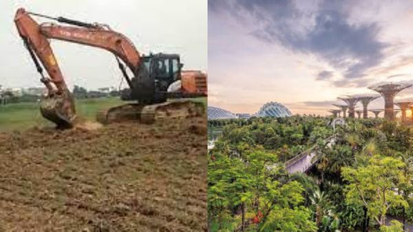 கிண்டி ரேஸ் கோர்ஸில் பசுமை பூங்கா அமைக்க தடை.. தேசிய பசுமை தீர்ப்பாயம் கொடுத்த ஷாக்.. காரணம் என்ன?