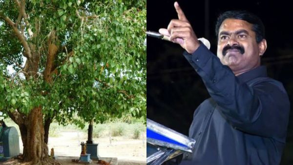 அடுத்ததாக மரங்களின் மாநாடு.. ஆயிரம் மரங்களுக்கு முன் பேசுகிறேன்.. சீமான் வெளியிட்ட அதிரடி அறிவிப்பு!