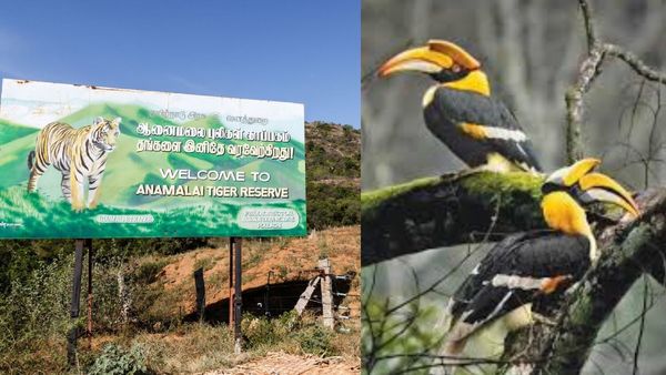 வேற லெவல் ஆகப் போகுது ஆனைமலை.. தமிழ்நாடு அரசின் சூப்பர் ஏற்பாடு! அதென்ன இருவாச்சி! வெளியான அறிவிப்பு