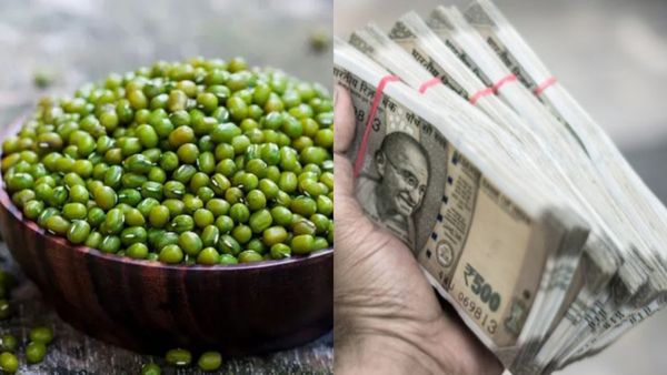 பச்சை பயிறு பரிகாரம் பண்ணாலே பணம் வீட்டில் கொட்டுமே..தோஷம் தீர உடனே இந்த சிவன் கோயிலுக்கு கிளம்புங்க