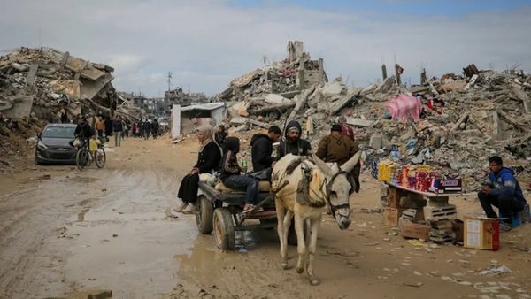 காசாவில் கழுதைகளை திருடும் இஸ்ரேல் ராணுவம்.. யாருமே எதிர்பார்க்காத சம்பவம்.. ஏன் தெரியுமா?