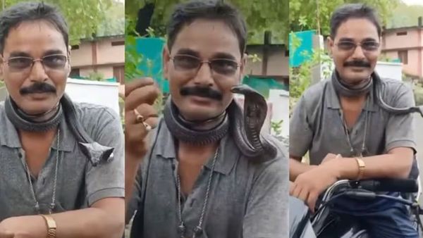 பாம்பு பிடி வீரரின் ரீல்ஸ் மோகம்.. கழுத்தை சுற்றிய கொடிய விஷமுள்ள நாகப்பாம்பு.. இறுதியில் ட்விஸ்ட்