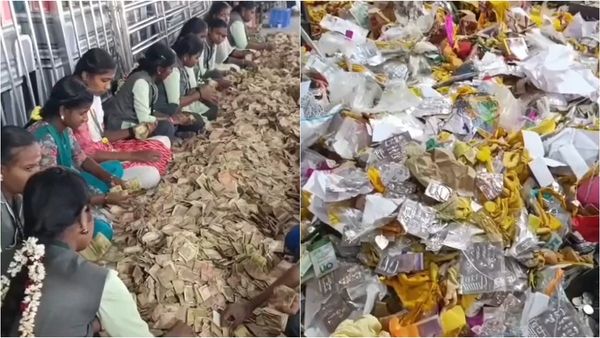 பழனி முருகன் கோயிலில் அள்ள அள்ள தங்கம்.. மலை போல் குவிந்த பணம்.. கோடிகளை கொட்டிய பக்தர்கள்