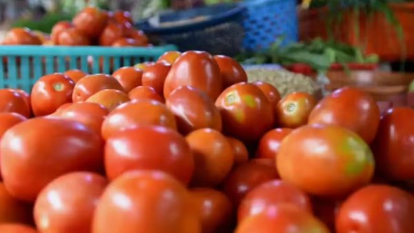 தக்காளி விலை கிடுகிடு உயர்வு.. சென்னை கோயம்பேடு சந்தையில் இன்று மேலும் 10 ரூபாய் அதிகரிப்பு!