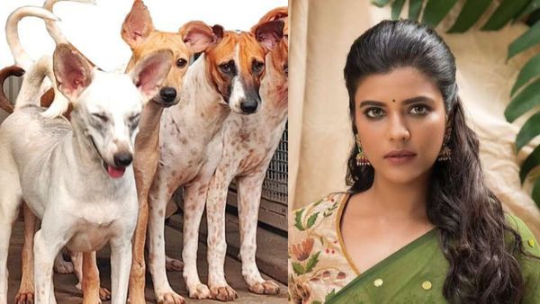 அவர்களுக்கும் உணர்வு இருக்கு, தடுப்பது சரி இல்லை! தெரு நாய்களுக்காக ஐஸ்வர்யா ராஜேஷ் ஆதங்கம்.. குவியும் கமெண்ட்ஸ்