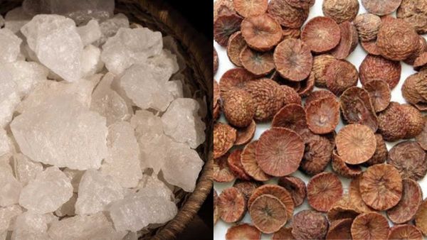 Padigaram: படிகாரத்துடன் கொட்டை பாக்கை சேர்த்து பல் துலக்கினால்… செய்வது எப்படி?