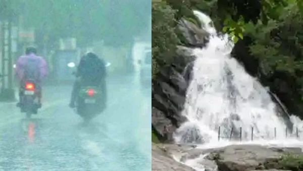 கோவைக்கு ரெட் அலர்ட்: இரவு முழுவதும் கொட்டி தீர்த்த மழை.. கோவை குற்றாலம் அருவி மூடல்