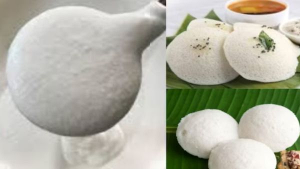 இட்லி மாவை பிரிட்ஜில் வைக்கறீங்களா? எத்தனை நாள் வைக்கலாம்? தோசைக்கு அரைக்கும்போது இதை மறக்காதீங்க