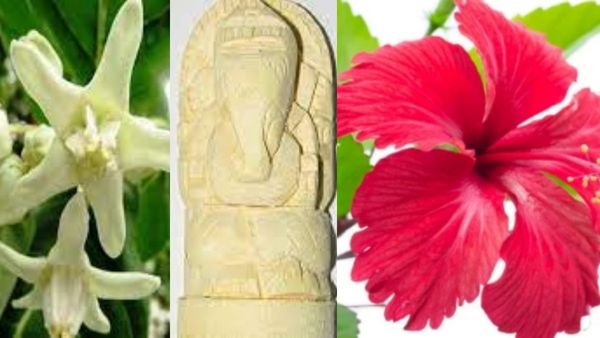 பூஜை அறையில் இந்த 21 மலர்களையும் விநாயகருக்கு சூட்டுங்க.. வெள்ளெருக்கு பூவின் மகிமை.. வேரின் வெற்றி