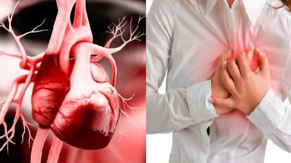 Cardiac Arrest: மாரடைப்பு வருவதற்கான 7 முக்கிய அறிகுறிகள் என்னென்ன? ரத்தக் குழாயில் அடைப்பு ஏன்?