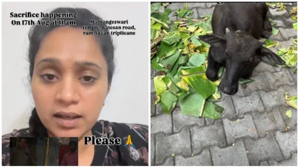 சீரியல் நடிகை சந்தியா போட்ட வீடியோ.. சென்னை சீதாம்மன் கோயிலில் எருமை கன்றுக்குட்டியை? இதென்ன புதுசா?