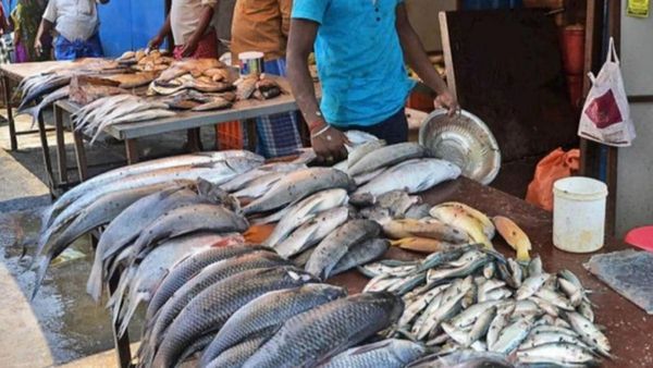 சென்னை காசிமேட்டில் கூட்டம்.. தூத்துக்குடியிலும் சால்மன் மீன் 1 கூடை ரூ.2500.. ஏறிய ஷீலா, மத்தி விலை