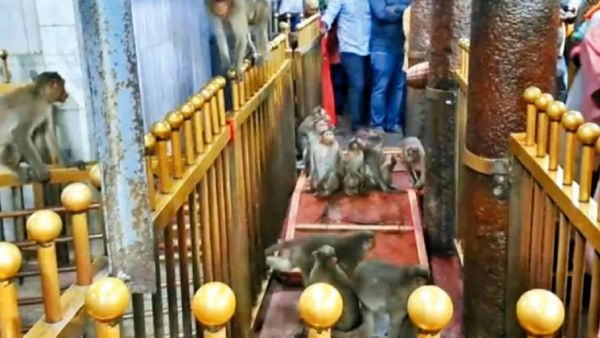 திருத்தணி முருகன் கோயில்ல யார்னு பாருங்க.. கையில் தீபத்துடன் வந்து நின்ற மேனகா! மறு நொடியே இப்படி?