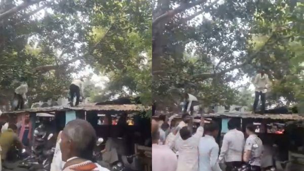 Monkey: ரூ 80 ஆயிரம் பணப்பையை பறித்த குரங்கு! லக்னோவில் 