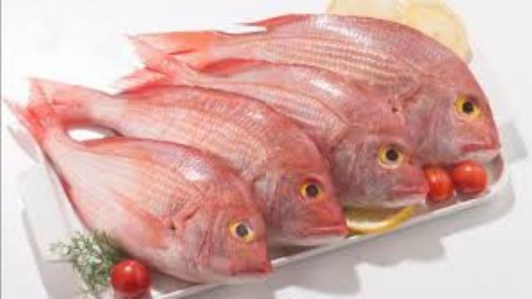 மீனில் திருக்கை நல்லதா? கர்ப்பிணிகள் சங்கரா மீன் சாப்பிடலாமா? ஆய்வுகள் தரும் பாதரச மீன்கள் இவைதான்