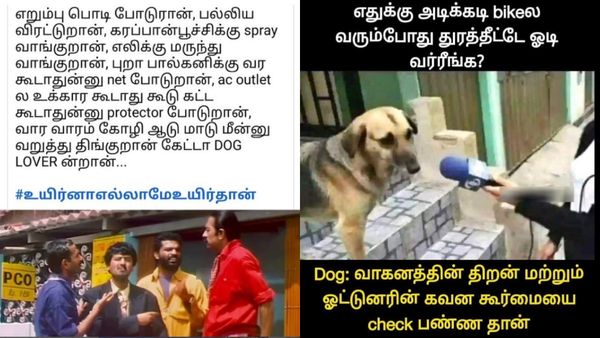 நான் அடிச்ச மணி யாருக்கு கேட்டுச்சோ இல்லையோ.. ஆர்டர் வந்துருச்சு டா