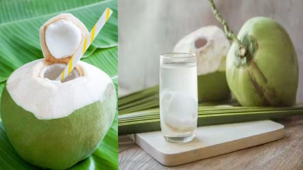 உடல் எடையைக் குறைக்க ஜிம் செல்வோர் கவனத்திற்கு.. இளநீர் குடிக்கக் கூடாதாம்.. ஏன் தெரியுமா?