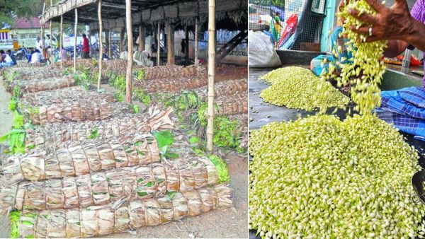 விநாயகா வேலையை காட்டிட்டியே! தலைவாழை இலை விலை கேட்டா தலையே சுத்துதுப்பா! மல்லிகைப் பூ அதுக்கு மேல!