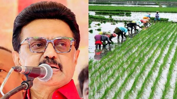 விண்ணப்பித்த அன்றே பயிர்க்கடன்.. 5 லட்சம் கிடைக்கும்! தொடங்கி வைத்த ஸ்டாலின்.. விவசாயிகளுக்கு ஹேப்பி