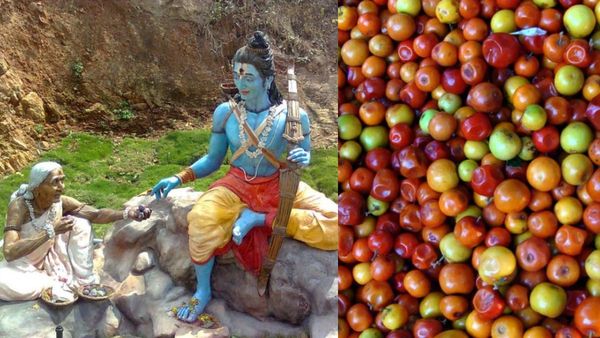 ராமனுக்கு சபரி இலந்தைப் பழம் கொடுத்தது ஏன் தெரியுமா?
