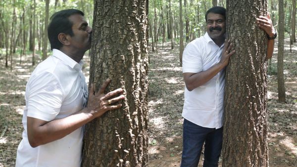 மரங்களுக்கு முத்தம் கொடுத்த சீமான்.. திருத்தணி அருகே வரும் 30 ஆம் தேதி மரங்களின் மாநாடு!