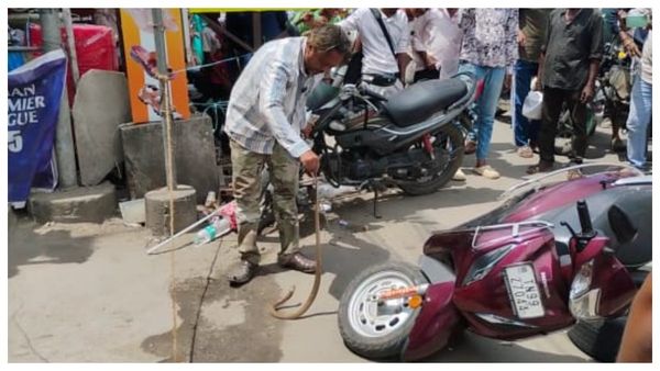 மார்க்கெட்டில் பைக்கை திறந்த பெண்ணுக்கு ஷாக்.. கோவை காந்திபுரத்தை அலறவிட்ட நாகப்பாம்பு