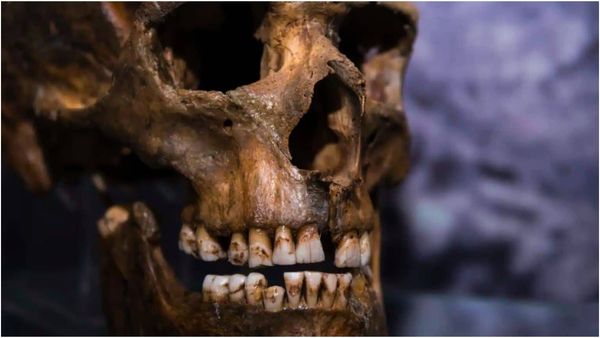 மனிதன் பாதி.. மிருகம் பாதி! சீனாவில் கண்டுபிடிக்கப்பட்ட புதிய இனம்.. விஞ்ஞானிகள் ஷாக்