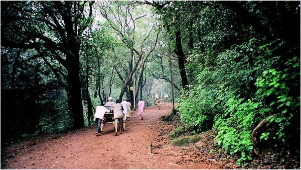 சுதந்திரமடைந்து 78 ஆண்டுகளுக்கு பின்னரும்.. கைகளால் ரிக்ஷா இழுப்பது மனிதாபிமானமற்றது!-உச்சநீதிமன்றம்