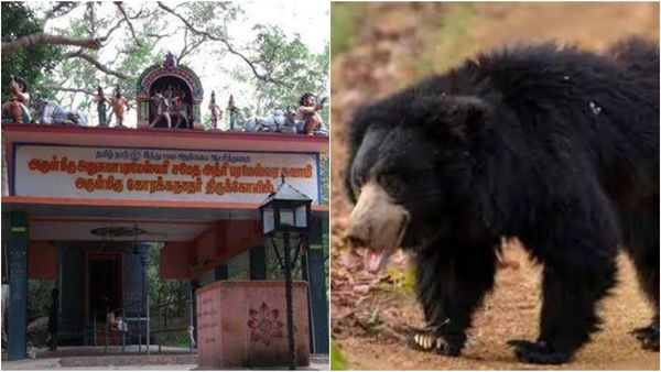 Tenkasi: தென்காசியில் தெரித்து ஓடிய பக்தர்கள்.. பாய்ந்த வந்த கரடி! அத்ரி மலை கோரக்கநாதர் கோயிலில் பரபரப்பு