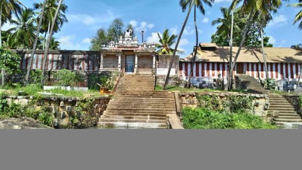 கன்னியாகுமரி திற்பரப்பில் 500 ஆண்டு பழமை வாய்ந்த மரத்தை அகற்ற முயற்சி.. இந்து முன்னணி எதிர்ப்பு