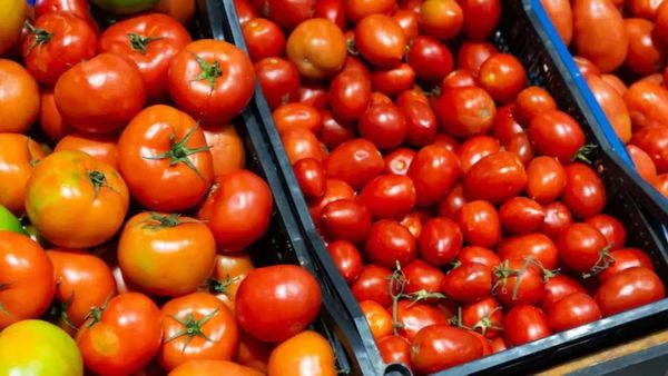 Tomato price: சற்றும் கீழே இறங்காத தக்காளி விலை.. சில்லறை விற்பனையில் ரூ.80 வரை எகிறியது!