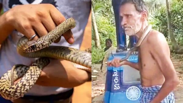 புதுச்சேரி ஏனாமில் நாகப்பாம்பை கழுத்தில் போட்டு விளையாட்டு.. மதுபோதை ஆசாமிக்கு மறக்க முடியாத சம்பவம்