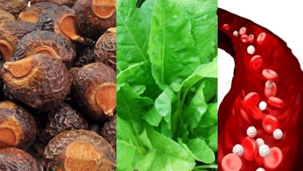 ஆச்சரியம் தரும் பூந்திக்கொட்டை.. கருகரு முடி வளர சூப்பர் மூலிகை எண்ணெய்.. தலைமுடி உதிர்வுக்கு தீர்வு