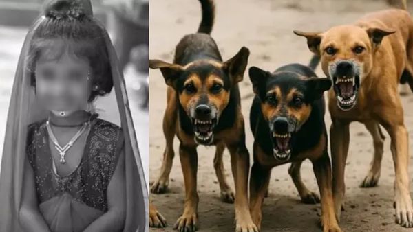 தெருநாய்களால் ஏற்பட்ட சோகம்.. ஆரணி அருகே விபத்தில் சிக்கி 4 வயது குழந்தை பரிதாப பலி!