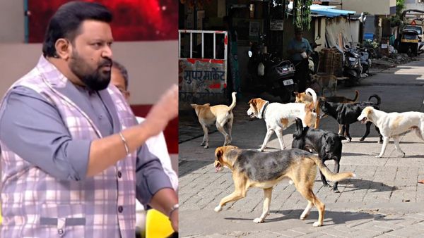 Neeya naana: தெருநாய் குறித்த நீயா நானா நிகழ்ச்சியை நீக்க வேண்டும்! விஜய் டிவிக்கு பறந்த கடிதம்