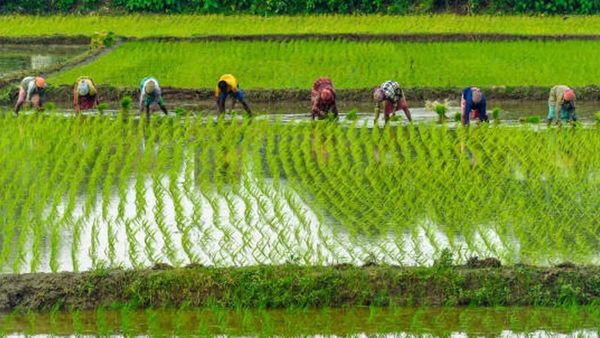 2 லட்சம் பணம் மற்றும் விருது.. செப்டம்பர் 15ம் தேதி கடைசி நாள்.. விவசாயிகள் விண்ணப்பிப்பது எப்படி?