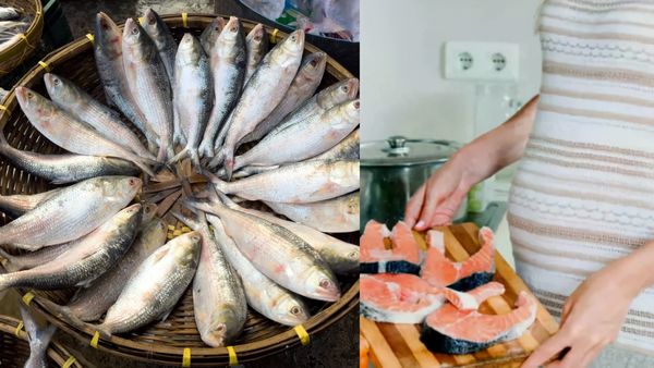 துர்கா பூஜைக்காக வந்திறங்கிய ஹில்சா மீன்கள்! ஒரு கிலோ எவ்வளவு? கர்ப்பிணிகள் சாப்பிடலாமா?