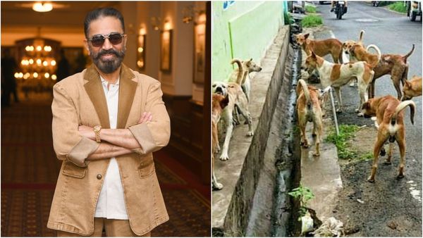 தெருநாய் பிரச்சனைகளுக்கு தீர்வு ரொம்பவும் எளிதானது.. கமல்ஹாசன் சொன்ன கருத்து!