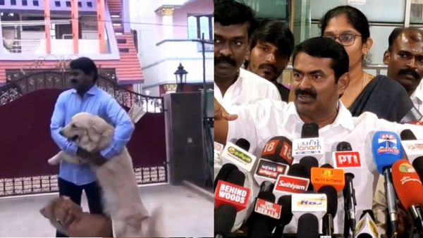 நாட்டு நாய்..நம் வீட்டு நாய்! வெளிநாட்டு நாய்களால் தெருநாய்கள் ஆகிவிட்டது.. நாம் தமிழர் சீமான் வேதனை