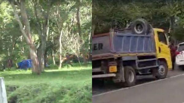 நீலகிரியில் அதிகாலையில் அரிதான சம்பவம்.. மசினகுடி – தெப்பகாடு ரோட்டில் யானை இருந்த கோலம்